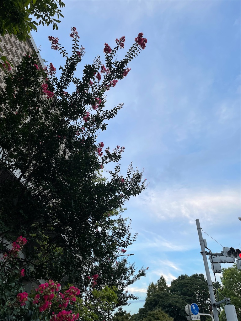 f:id:YoroCon:20220814202754j:image