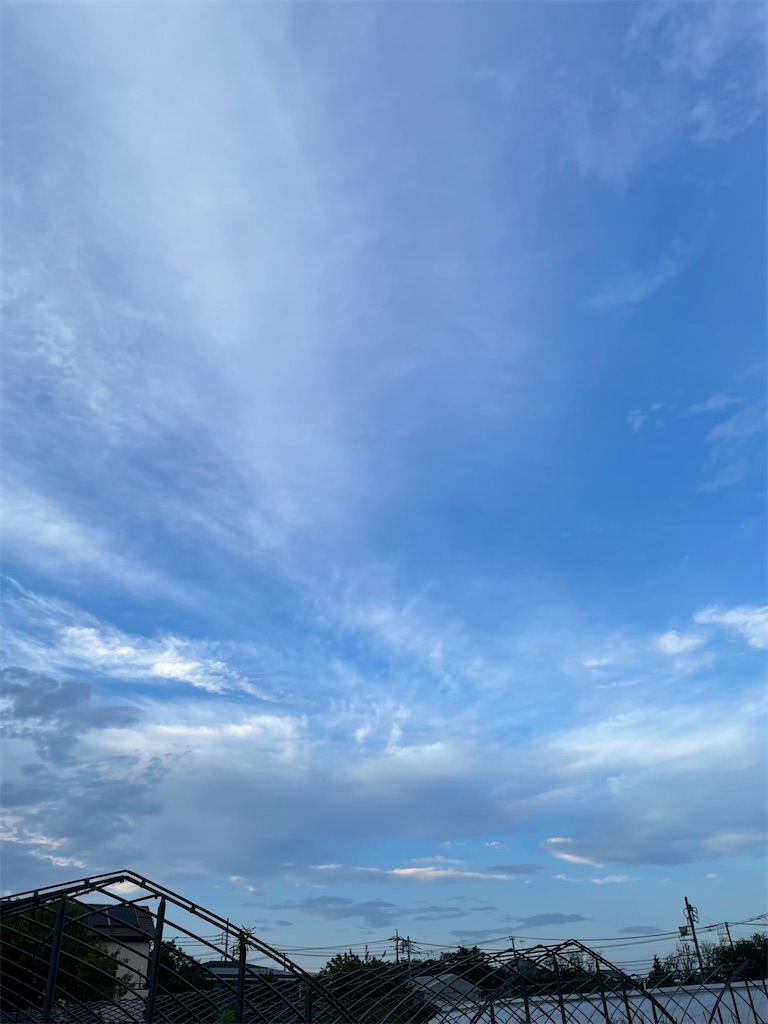 f:id:YoroCon:20220814202806j:image