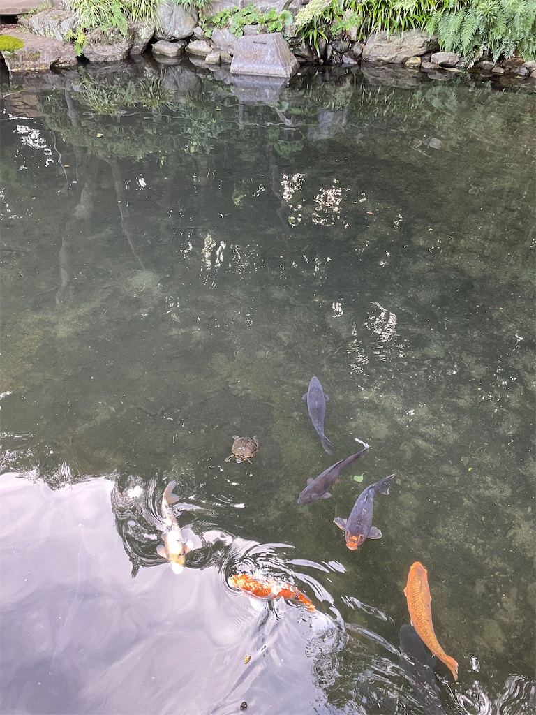 f:id:YoroCon:20220814202809j:image