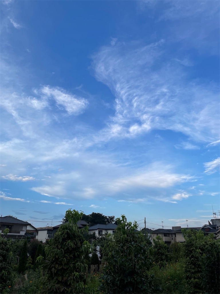 f:id:YoroCon:20220814202818j:image