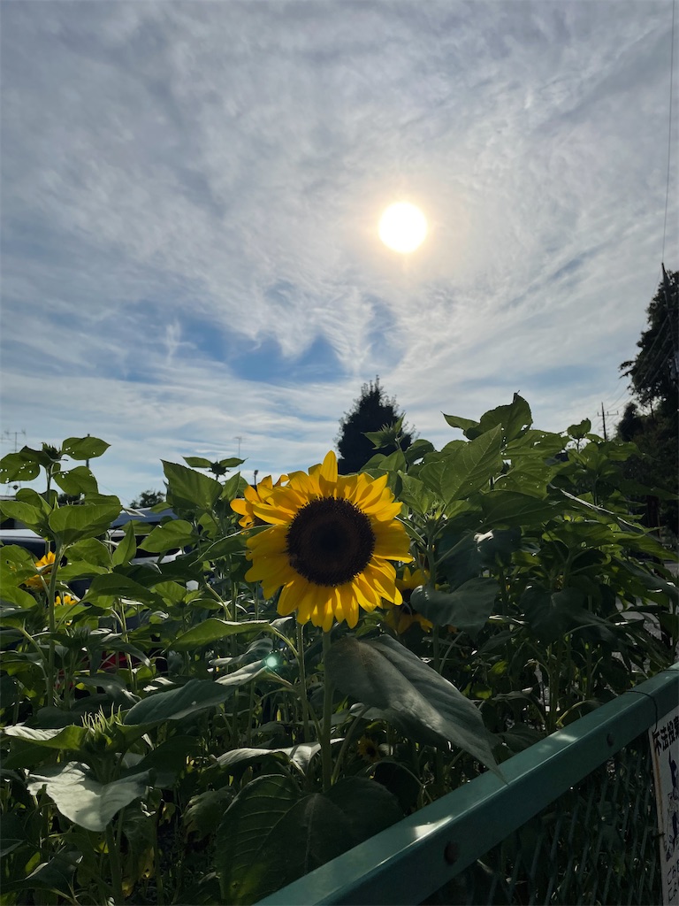 f:id:YoroCon:20220814202829j:image