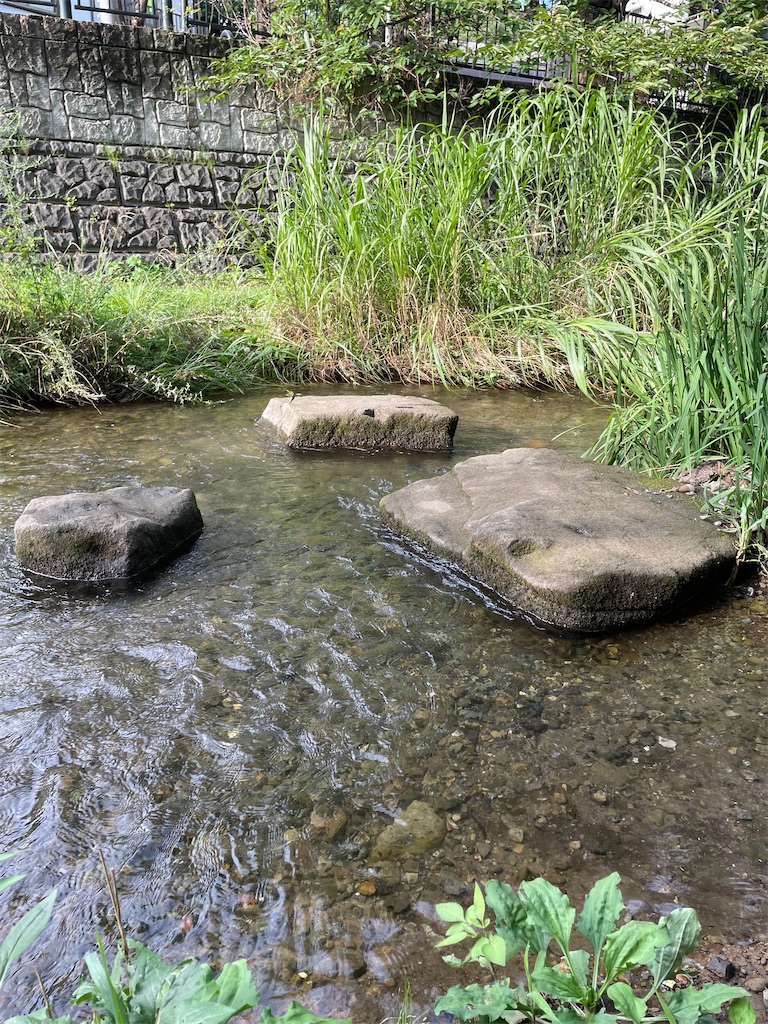 f:id:YoroCon:20220814203438j:image