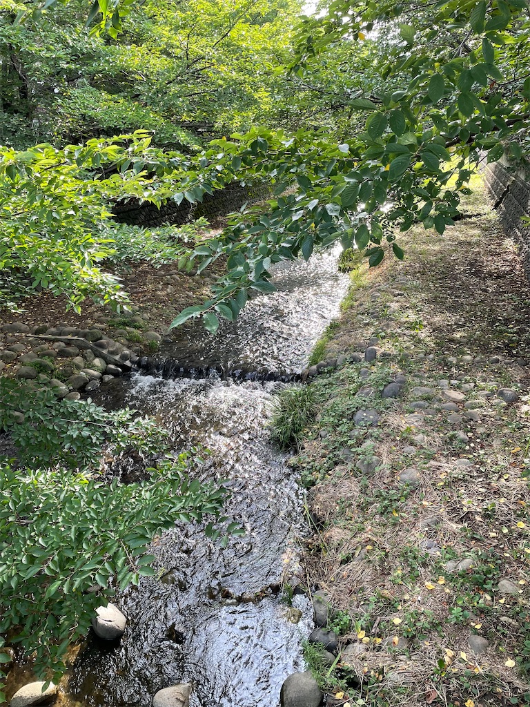 f:id:YoroCon:20220814220158j:image