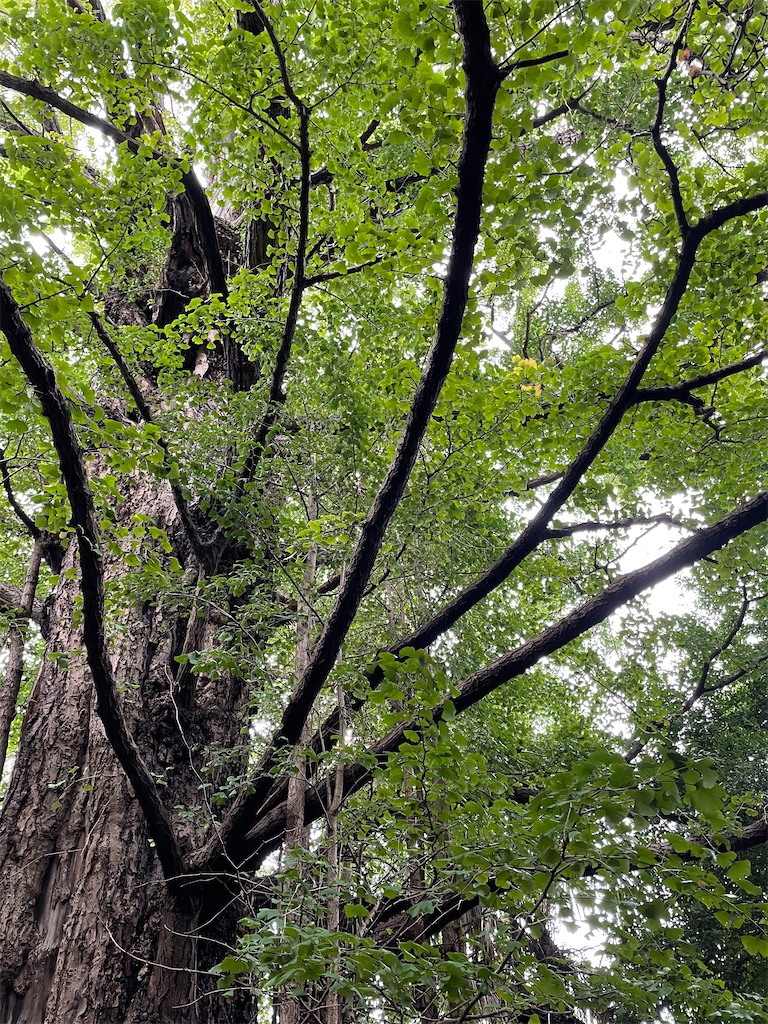 f:id:YoroCon:20221014003417j:image