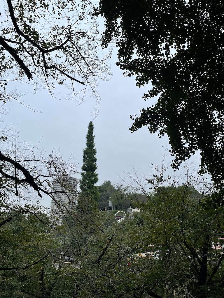 f:id:YoroCon:20221014003423j:image