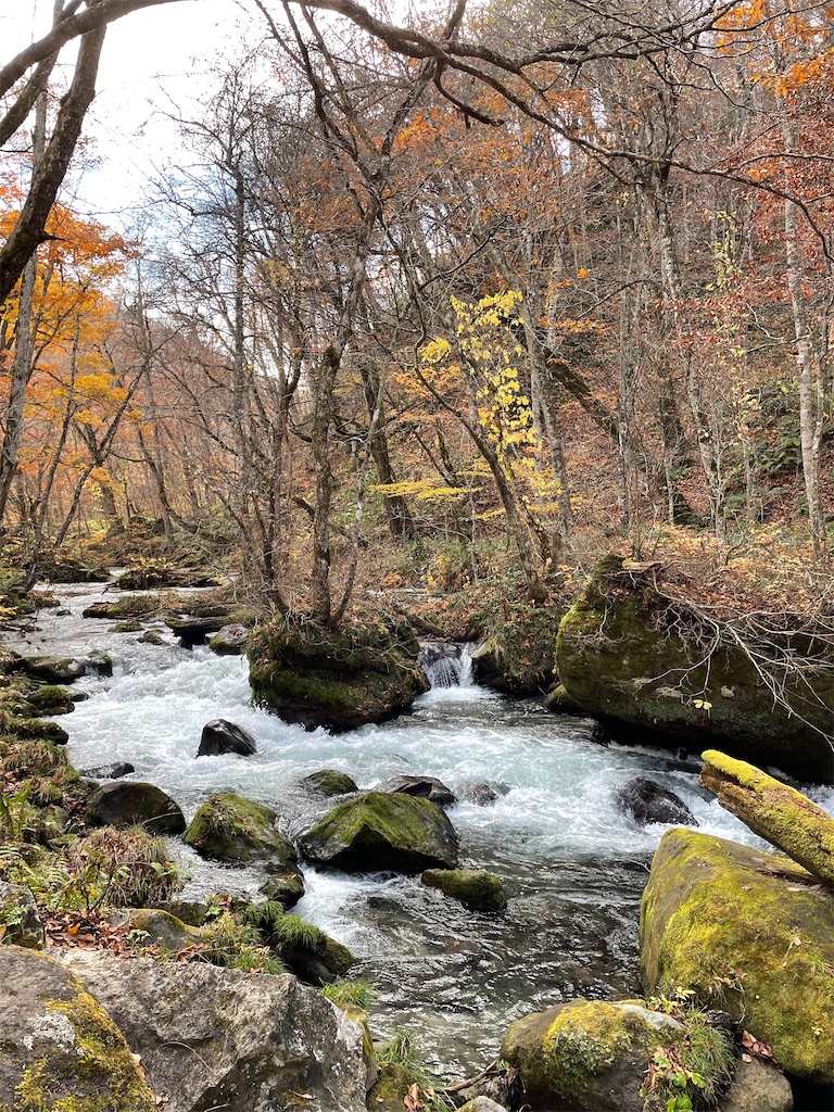 f:id:YoroCon:20221107195302j:image