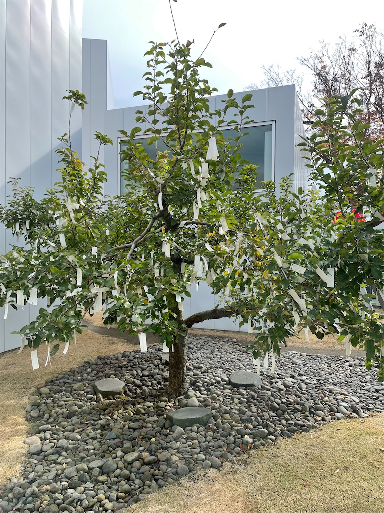 f:id:YoroCon:20221108234214j:image f:id:YoroCon:20221108234214j:image