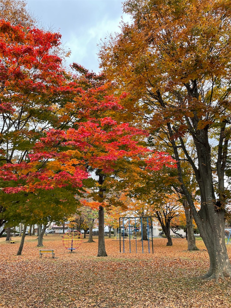 f:id:YoroCon:20221108234239j:image f:id:YoroCon:20221108234239j:image