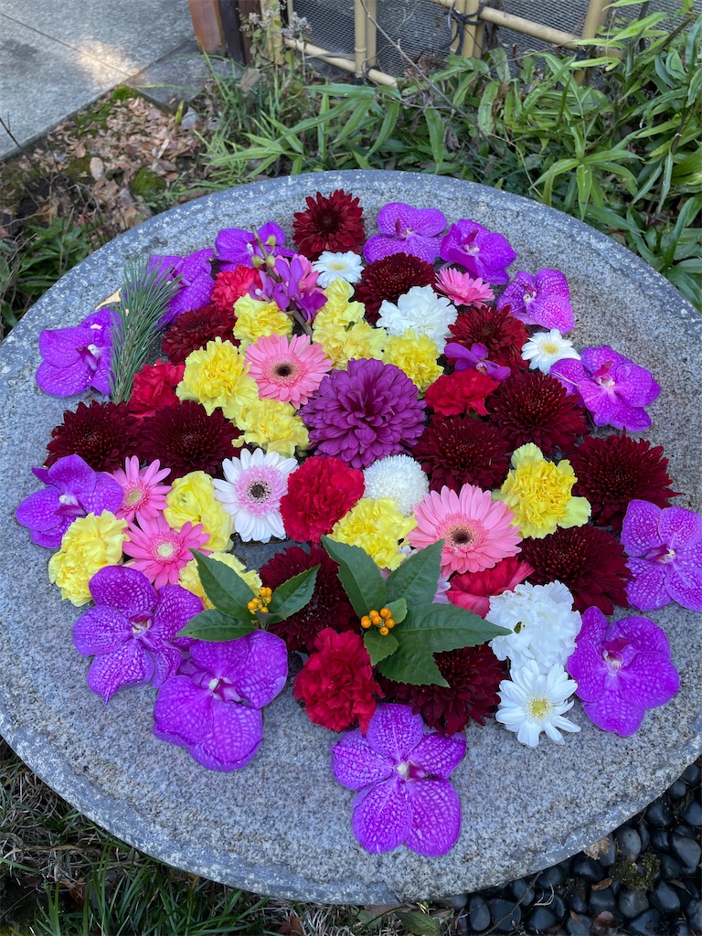 f:id:YoroCon:20230103215413j:image