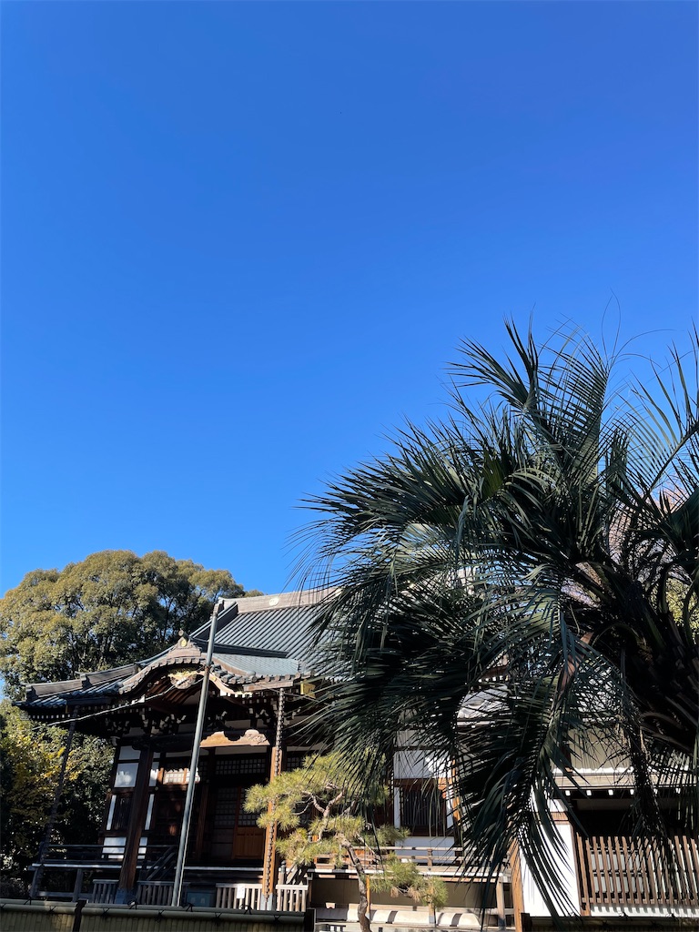 f:id:YoroCon:20230103215434j:image