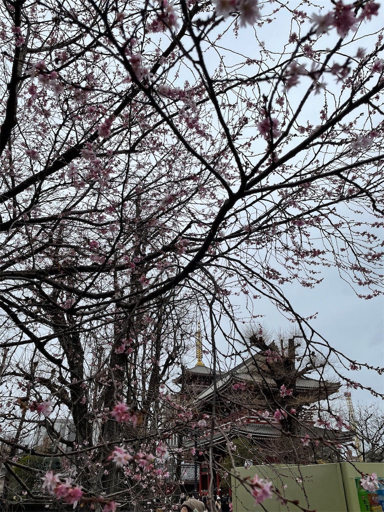 f:id:YoroCon:20230116214933j:image