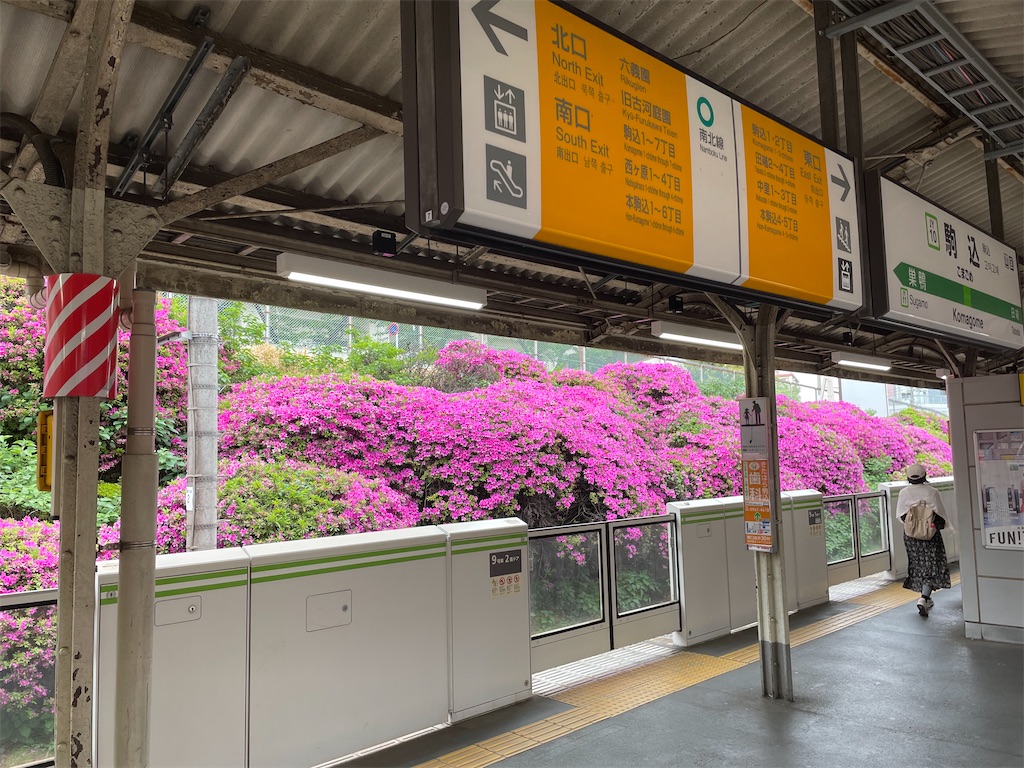 f:id:YoroCon:20230429001112j:image