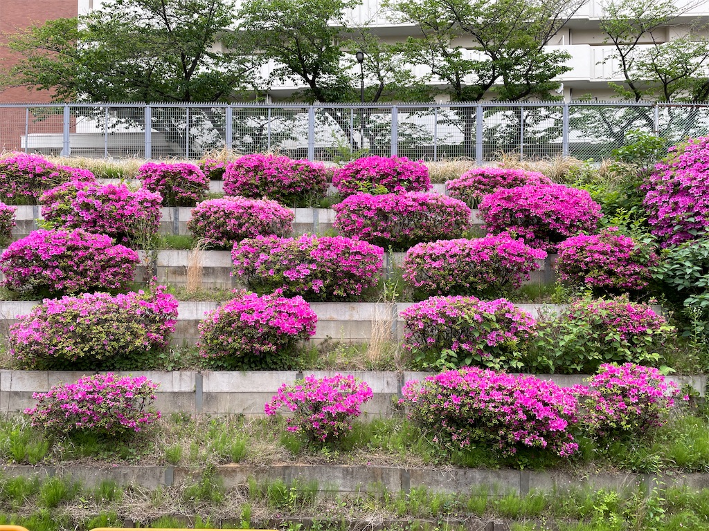 f:id:YoroCon:20230429001118j:image