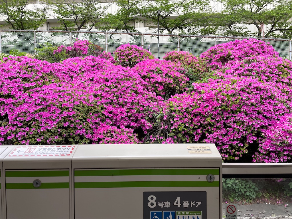 f:id:YoroCon:20230429001123j:image