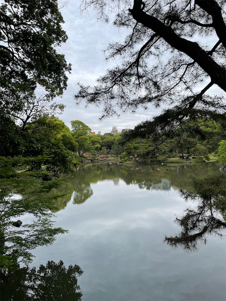 f:id:YoroCon:20230429001129j:image