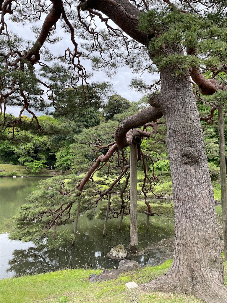 f:id:YoroCon:20230429001204j:image