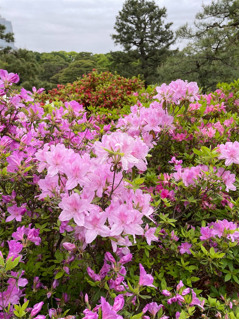 f:id:YoroCon:20230429001221j:image