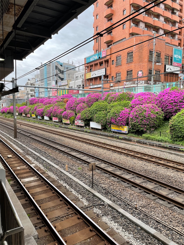 f:id:YoroCon:20230429003538j:image