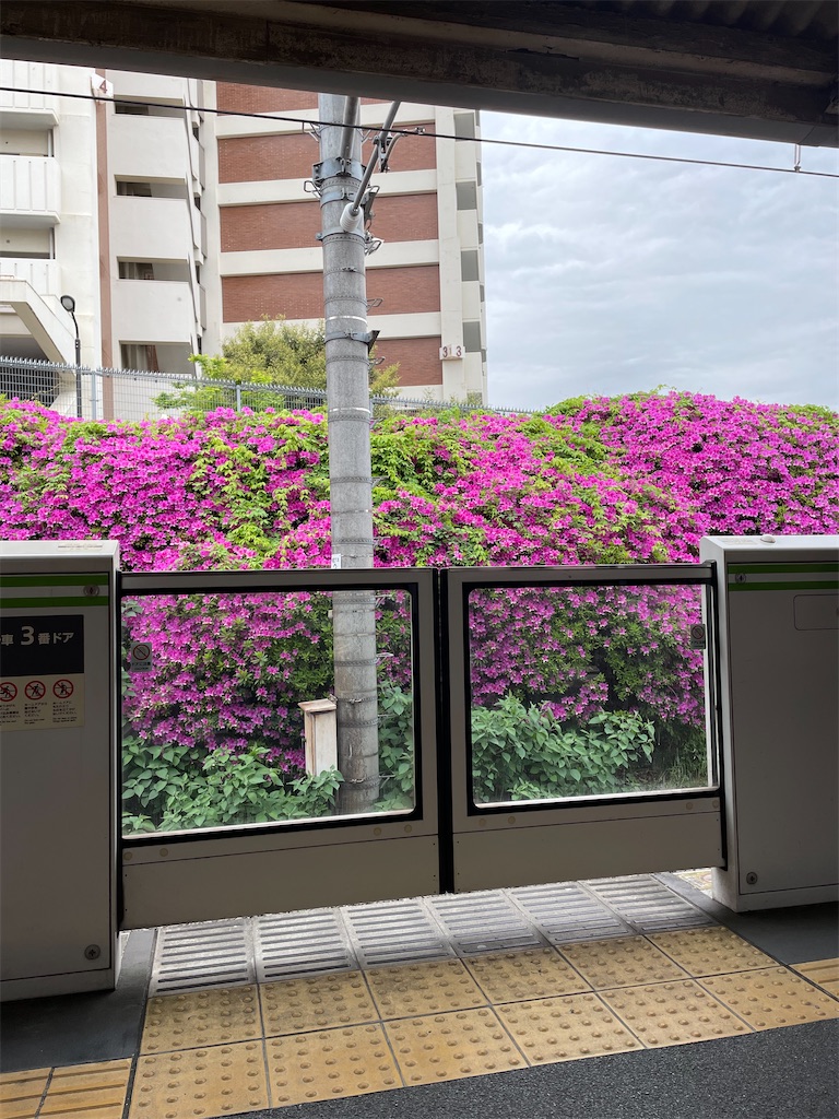 f:id:YoroCon:20230429003542j:image