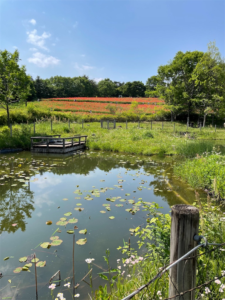 f:id:YoroCon:20230502003424j:image