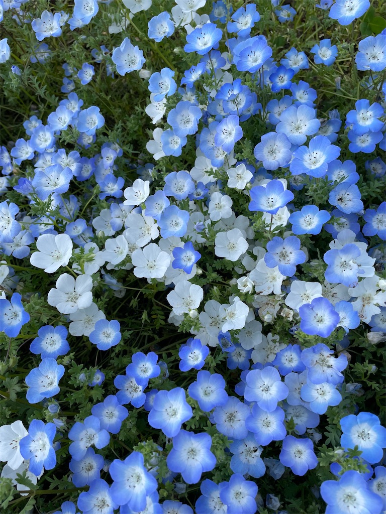 f:id:YoroCon:20230502003430j:image