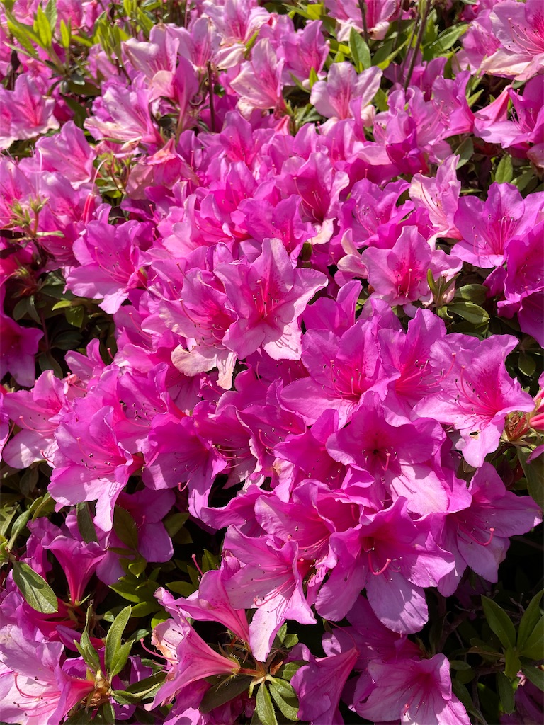 f:id:YoroCon:20230502003445j:image