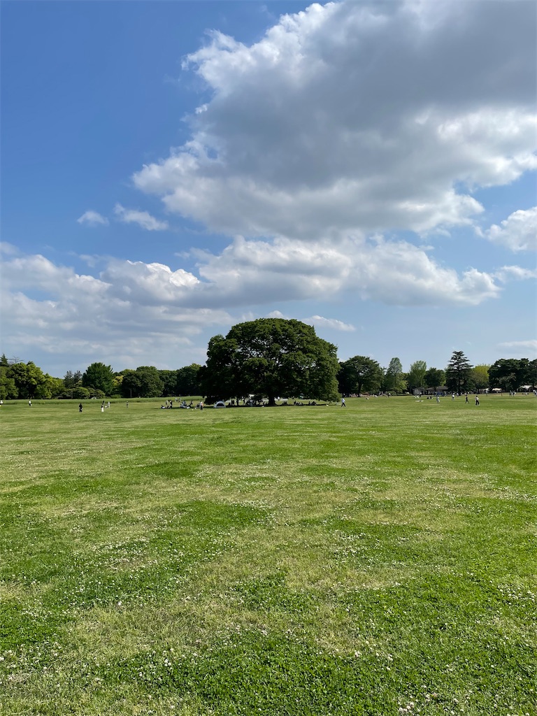 f:id:YoroCon:20230502003456j:image