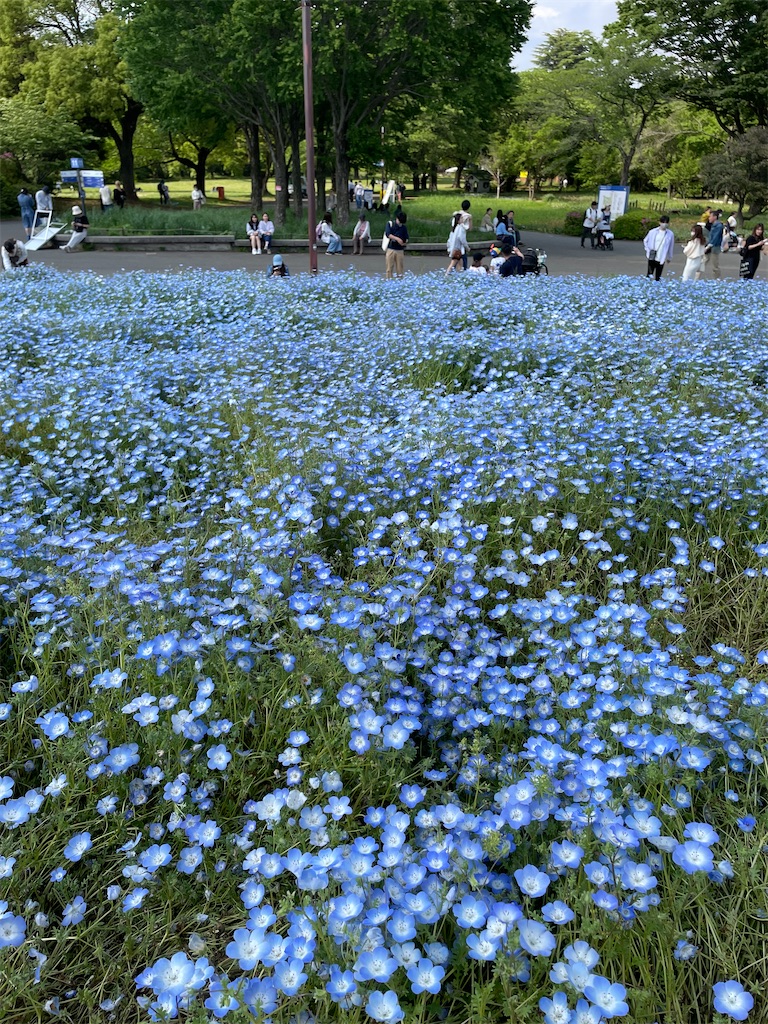 f:id:YoroCon:20230502003502j:image