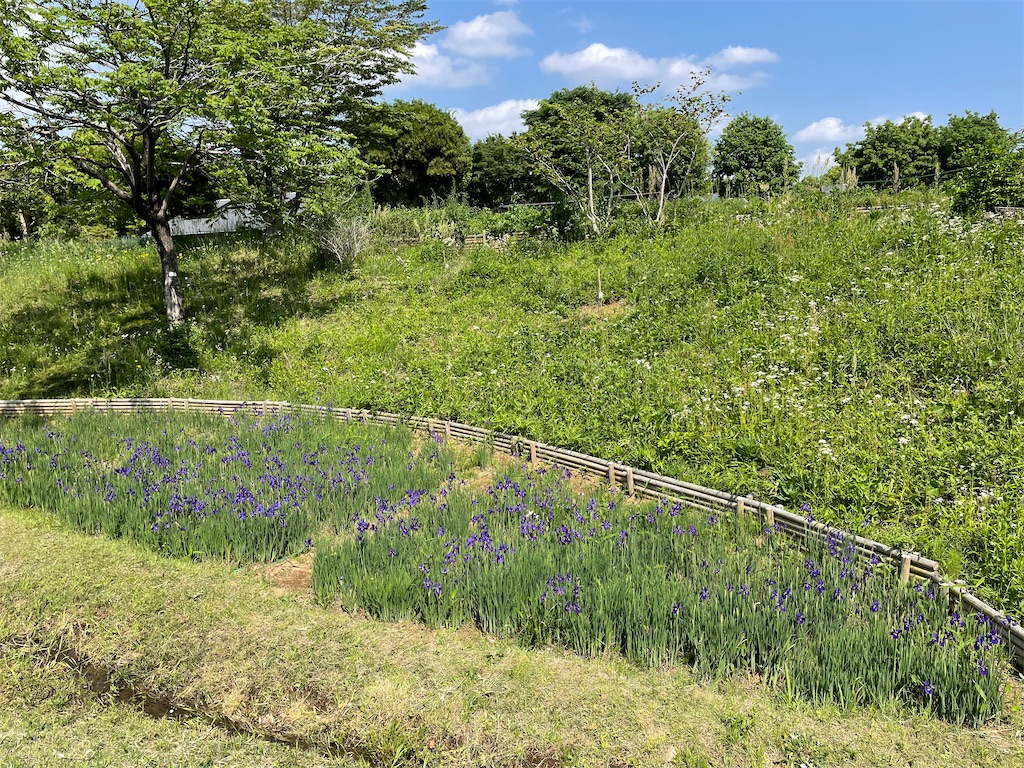 f:id:YoroCon:20230502003531j:image