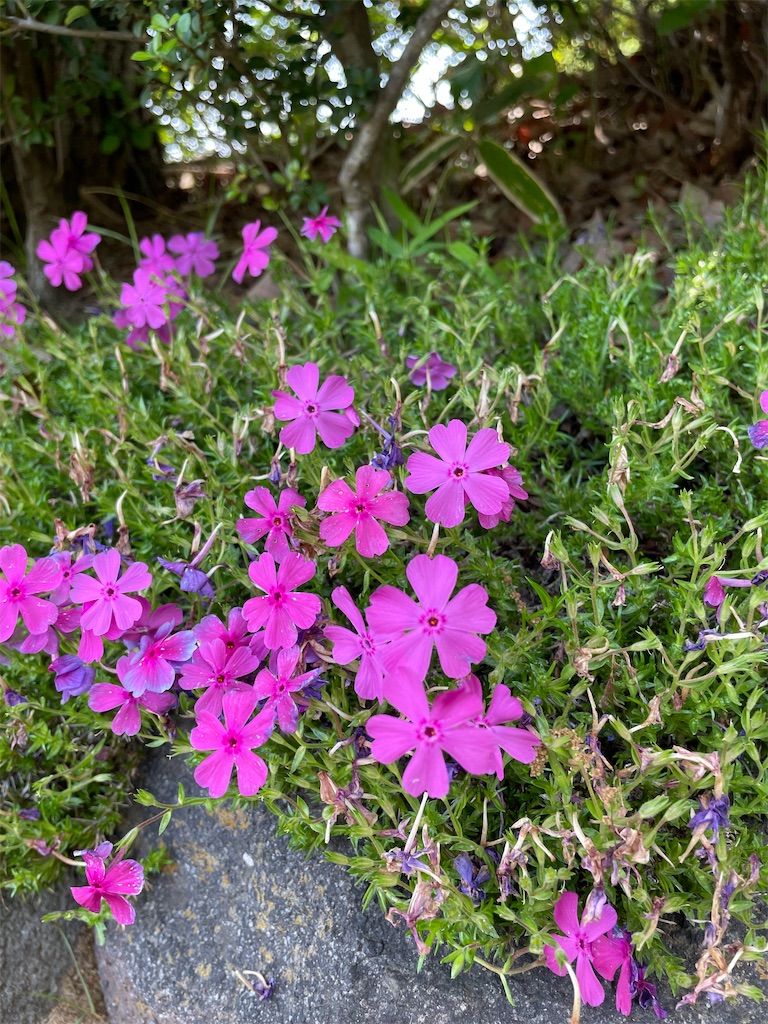 f:id:YoroCon:20230502003534j:image