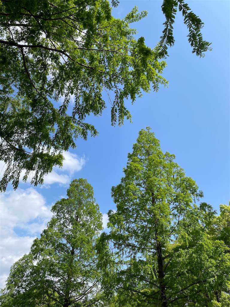 f:id:YoroCon:20230502003540j:image