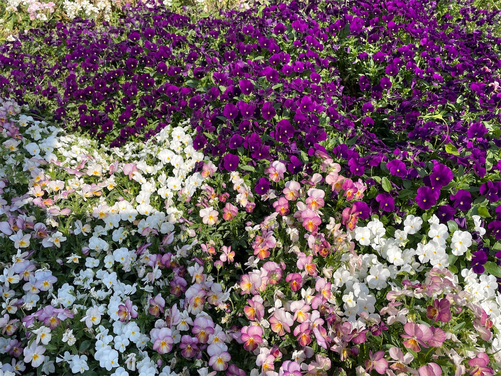 f:id:YoroCon:20230502003544j:image