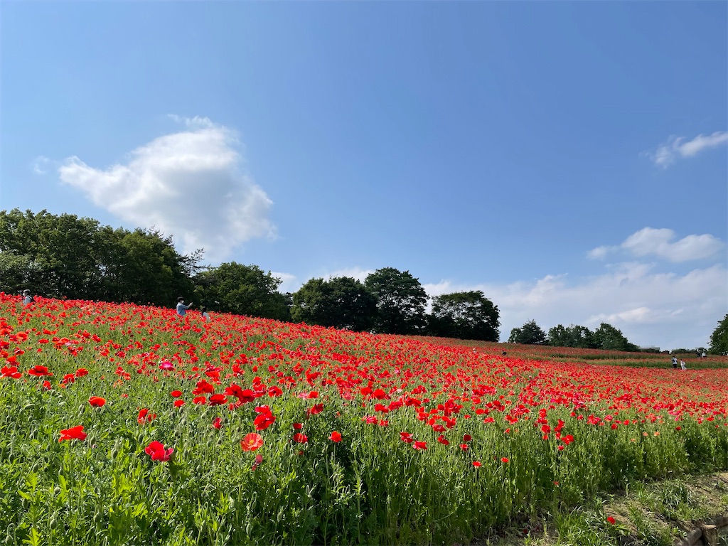 f:id:YoroCon:20230502003550j:image