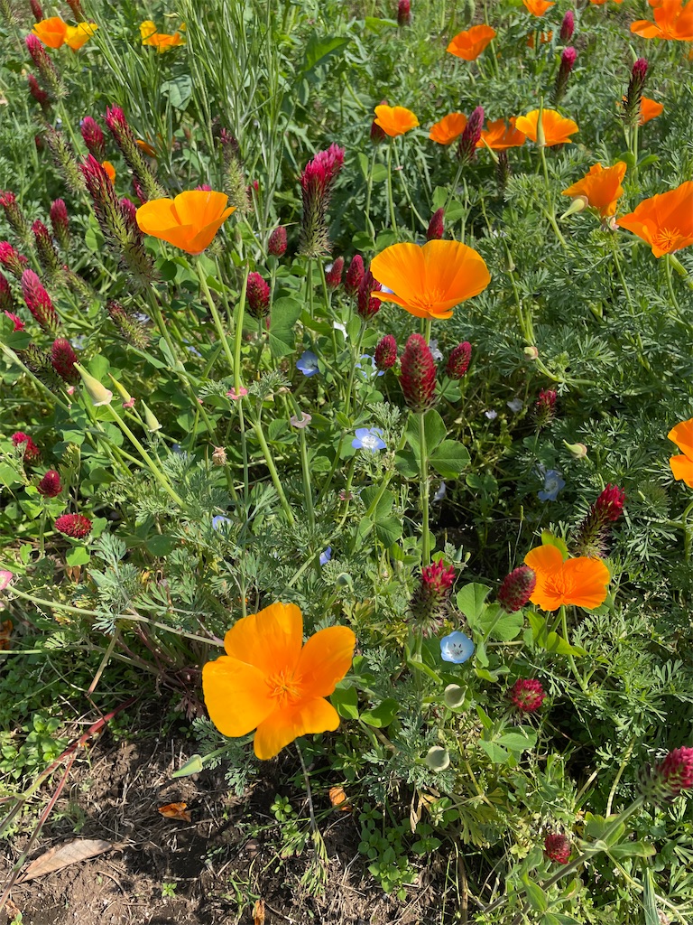 f:id:YoroCon:20230502003553j:image