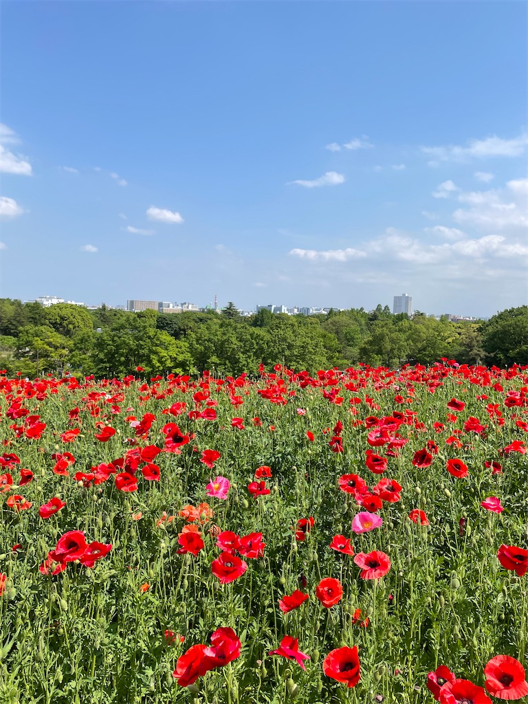 f:id:YoroCon:20230502003558j:image