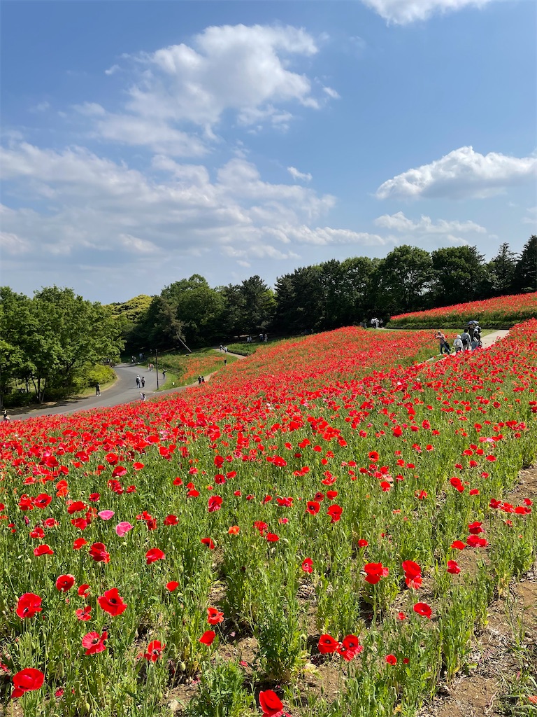 f:id:YoroCon:20230502003607j:image