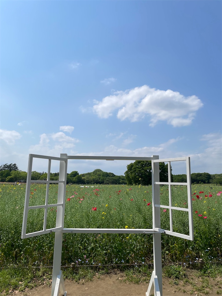 f:id:YoroCon:20230502003613j:image