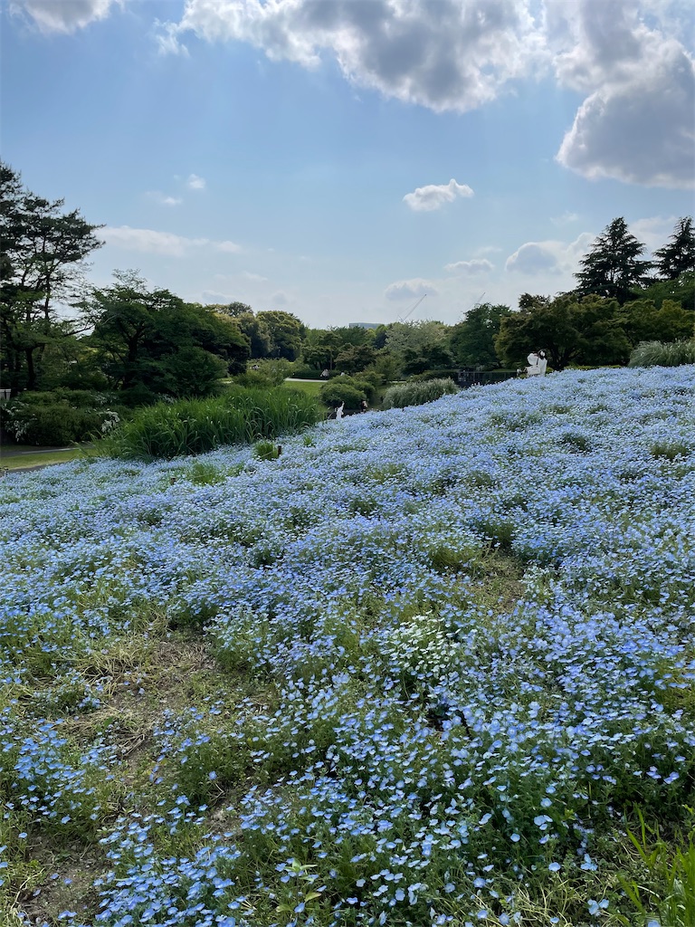 f:id:YoroCon:20230502003616j:image