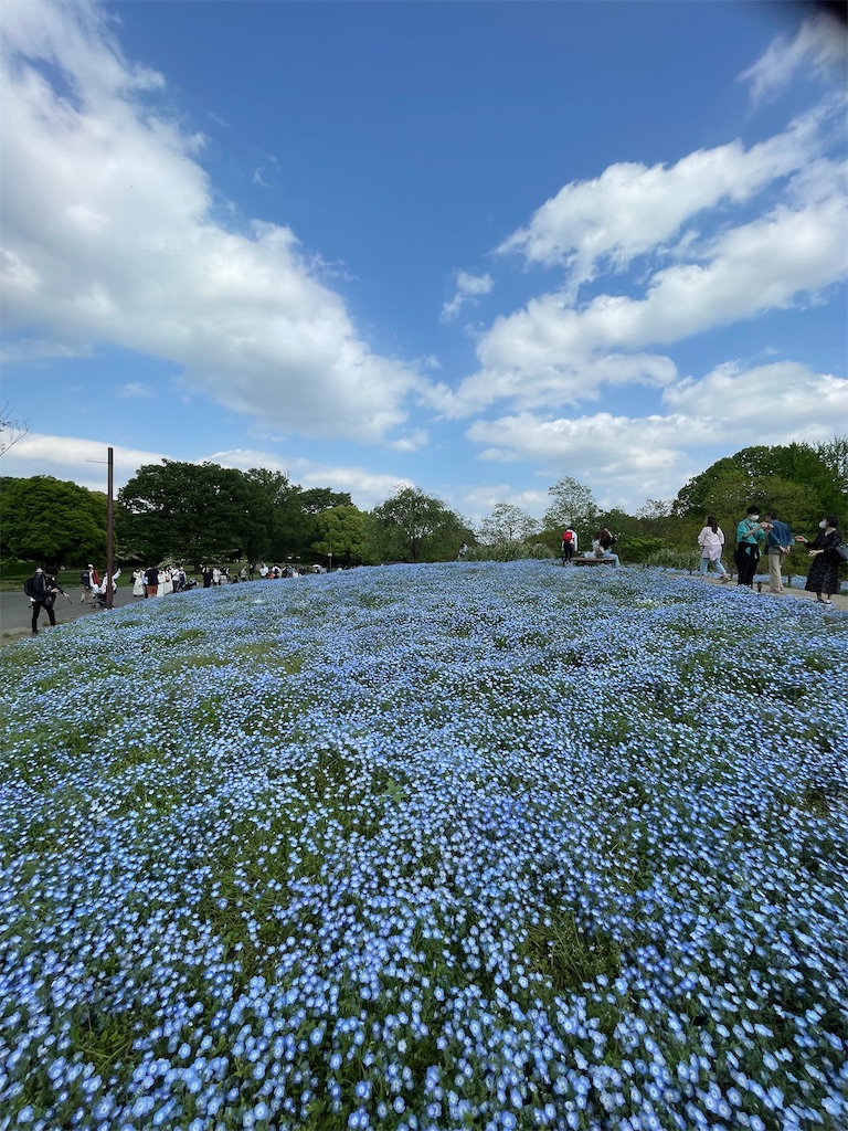 f:id:YoroCon:20230502003619j:image