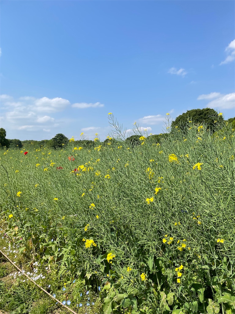 f:id:YoroCon:20230502003622j:image