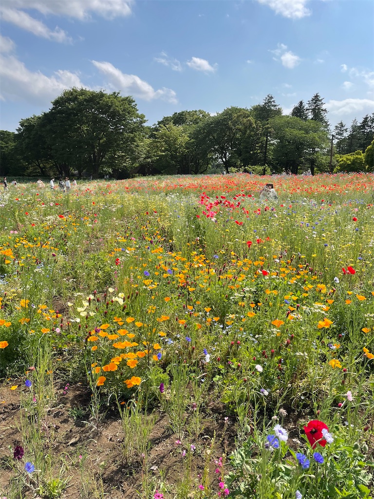 f:id:YoroCon:20230502113630j:image