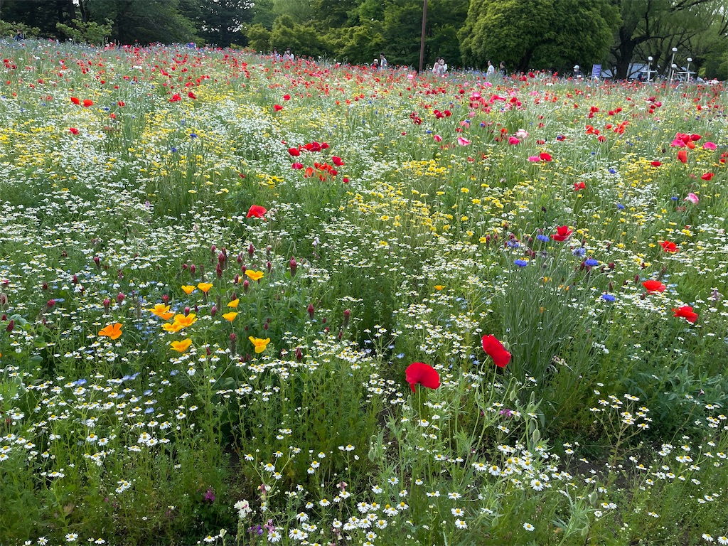 f:id:YoroCon:20230502113634j:image