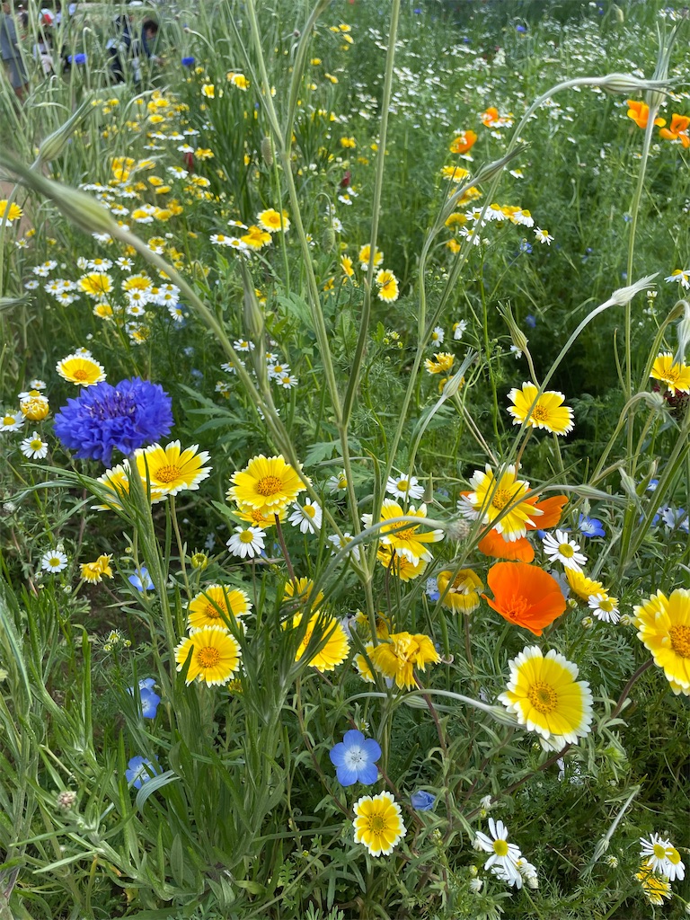 f:id:YoroCon:20230502113640j:image