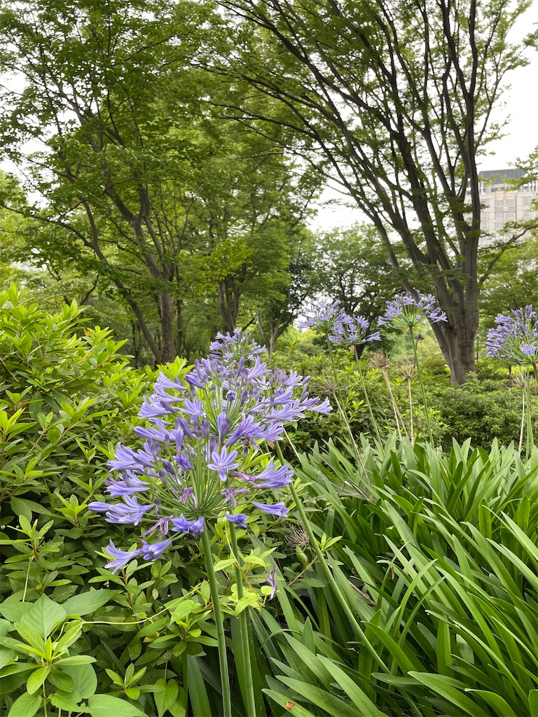 f:id:YoroCon:20230629232940j:image