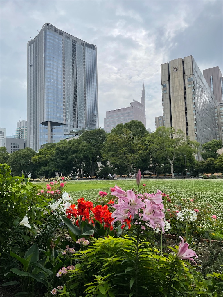 f:id:YoroCon:20230629232947j:image