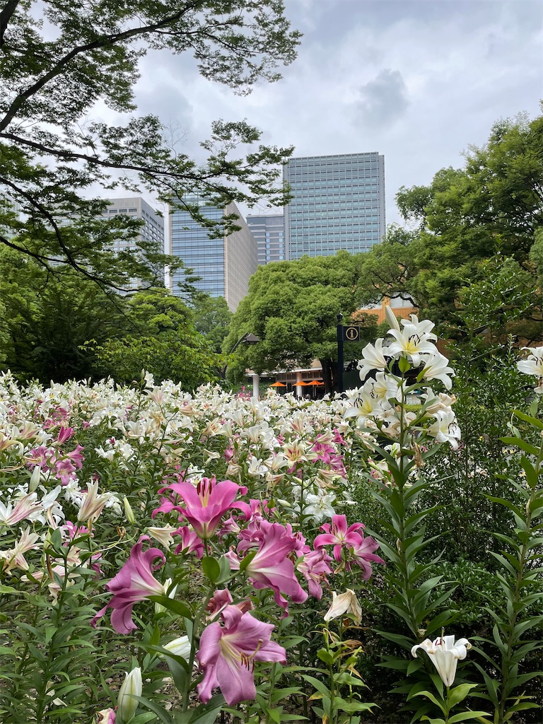 f:id:YoroCon:20230629233003j:image