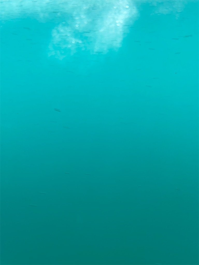 f:id:YoroCon:20230801002319j:image