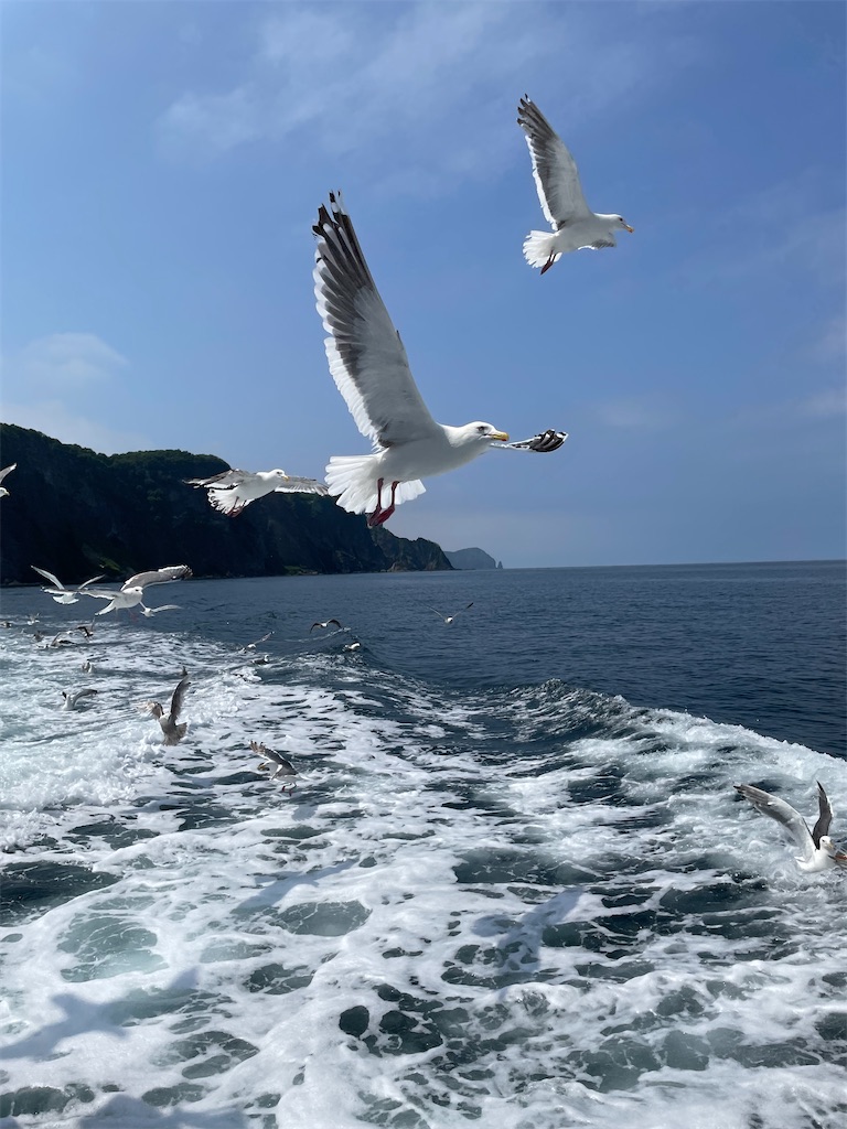 f:id:YoroCon:20230801002332j:image