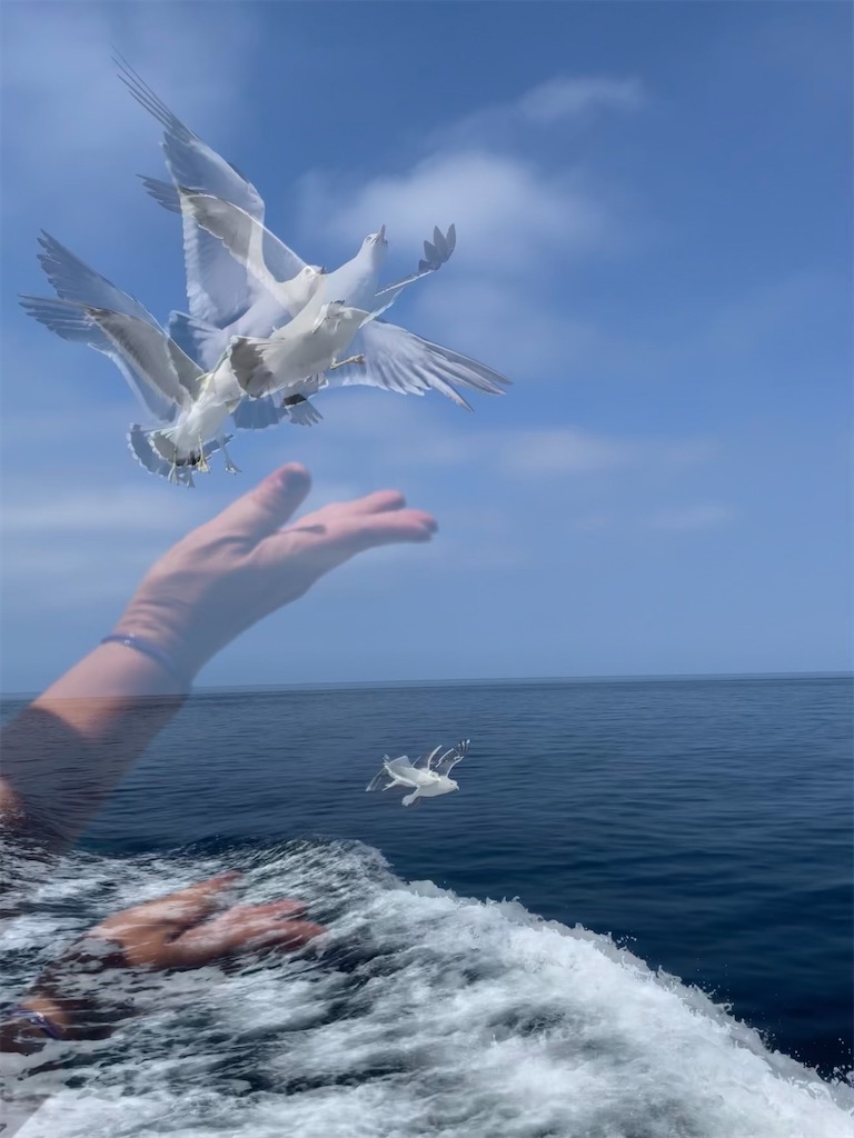 f:id:YoroCon:20230801002352j:image