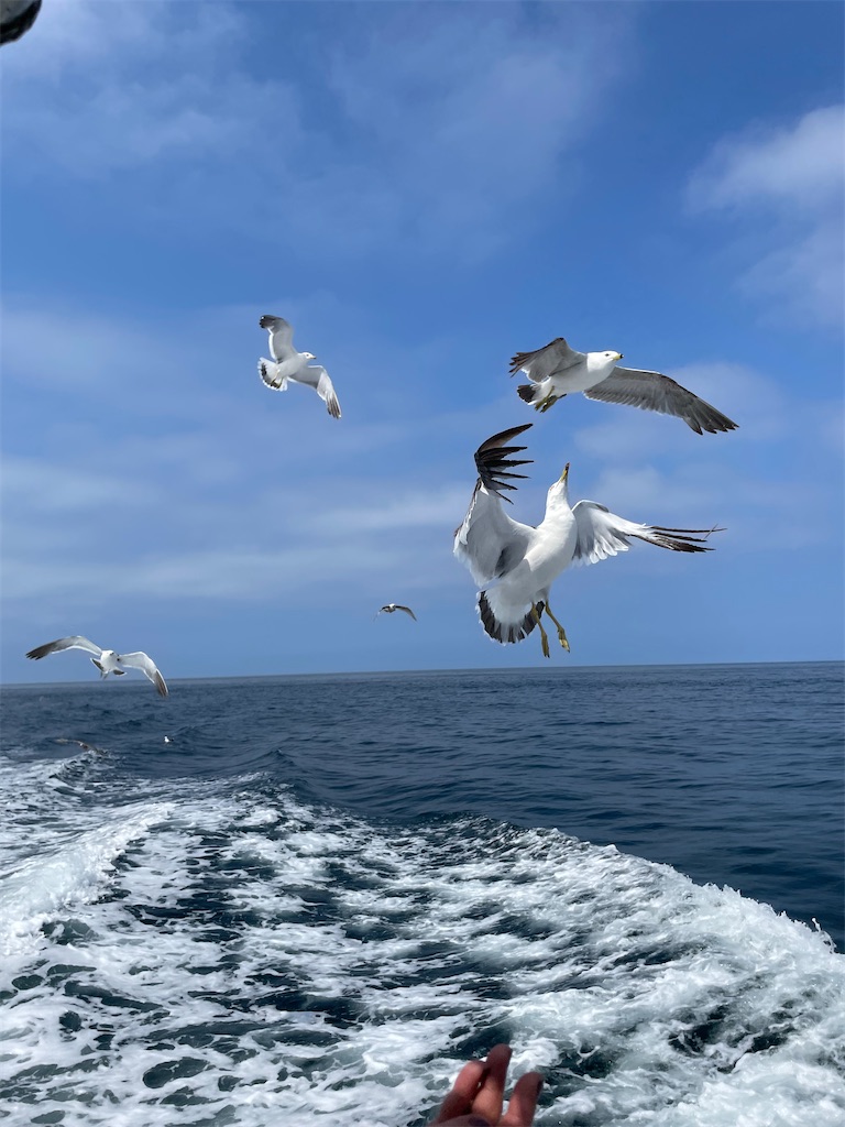 f:id:YoroCon:20230801002421j:image